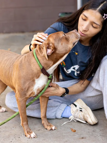 Patrice photo 3