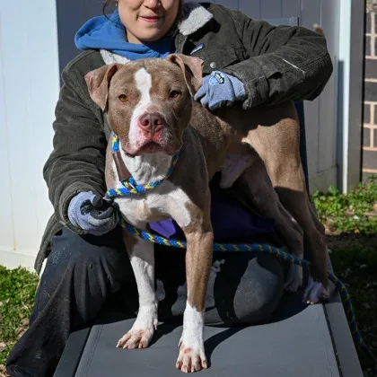 Bruno photo 1
