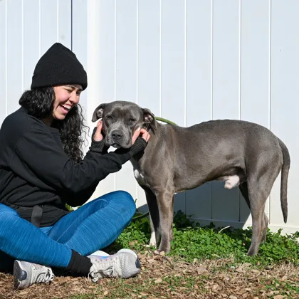 Bronson photo 2